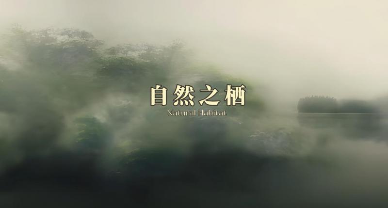 【自然之栖·产品花色搭配】金属3D板和流光叠彩系列